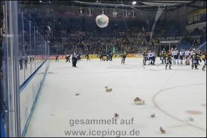 Teddy Toss.