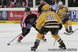 Spiel Krefeld Allstars - Rheinland Allstars