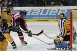 Spiel Krefeld Allstars - Rheinland Allstars