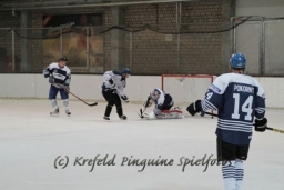 9. Lola-Cup 2014 - Krefeld Pinguine Spielfotos