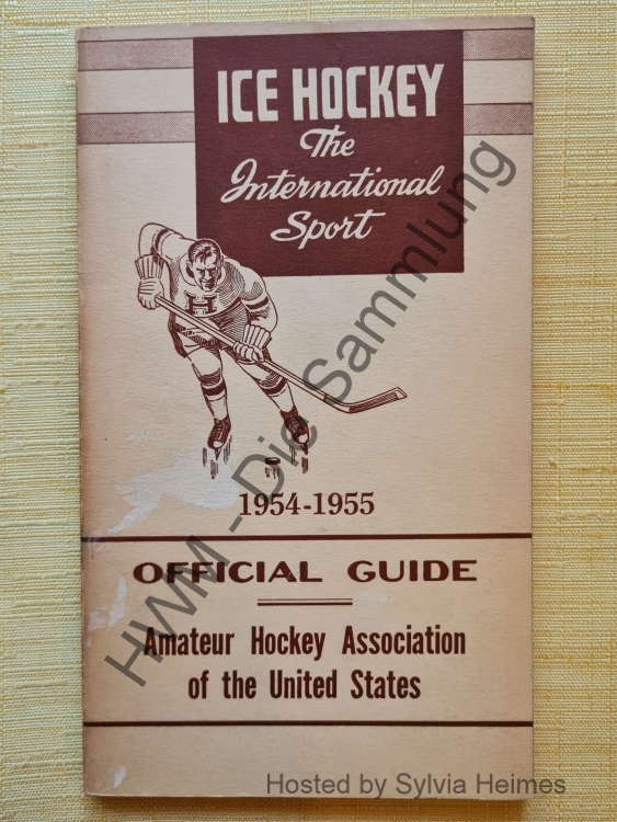 Eishockey DEG Haie