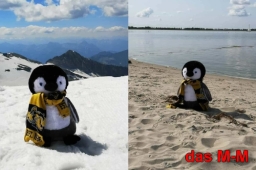 Urlaubspinguin