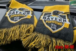 SchalBayern