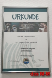 buerosachen_-_kulis_bleistifte_und_papier10