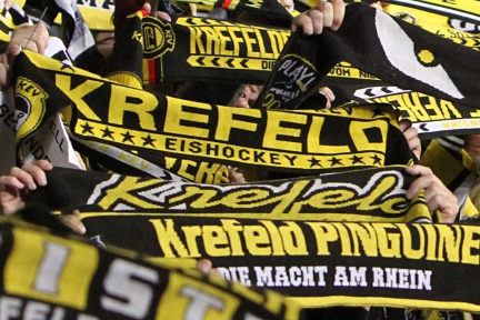 Banner der IcePingu-Seite