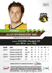 Julius Bauermeister