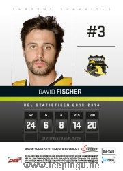 David Fischer