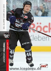 Andreas Raubal 