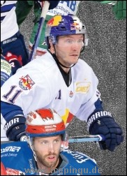 Krefeld Pinguine 