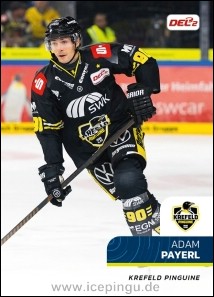 Adam Payerl