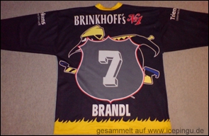 Saison-Trikot auswärts