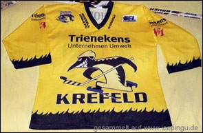 Saison-Trikot heim