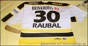 Saison-Trikot heim