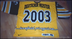 Meister-Trikot