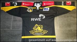 Saison-Trikot auswärts