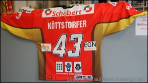 Das 3.Trikot oder Ausweichtrikot