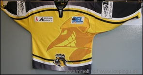 Warm-Up-Trikot
