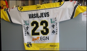 3.Trikot oder Ausweichtrikot Set 2