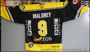 Saison-Trikot heim Set 2