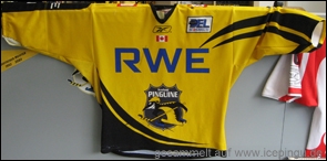 Saison-Trikot heim