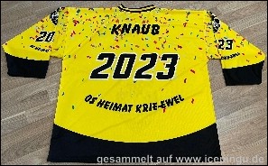 Karnevals-Trikot