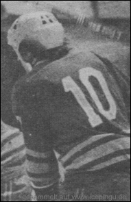 Saison-Trikot Ausführung dunkel