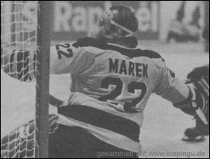 Saison-Trikot - erste Ausführung hell