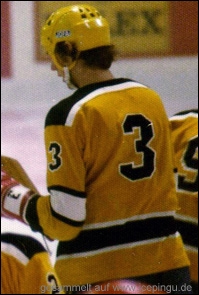 Saison-Trikot - zweite Ausführung hell