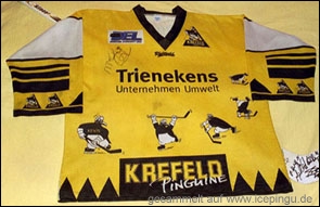Saison-Trikot heim